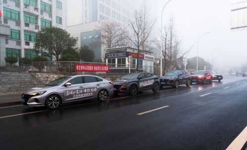 銷量位居中國品牌第一,長安汽車奪冠背后是客戶經營再進階