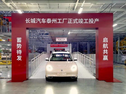 年產(chǎn)能10萬輛 長(zhǎng)城汽車泰州智慧工廠正式竣工投產(chǎn)